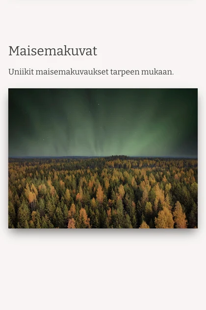 Revontulet Lapissa